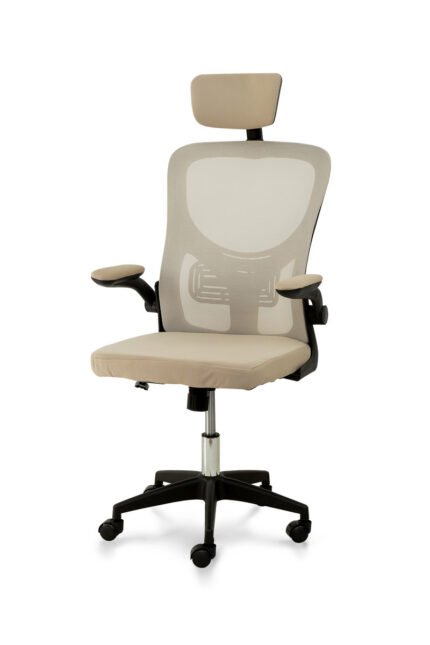 Стілець офісний Тонус, бежевий/чорний